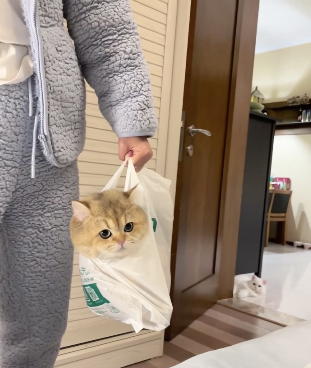 奴才：怎麼捨得將你賣掉喔