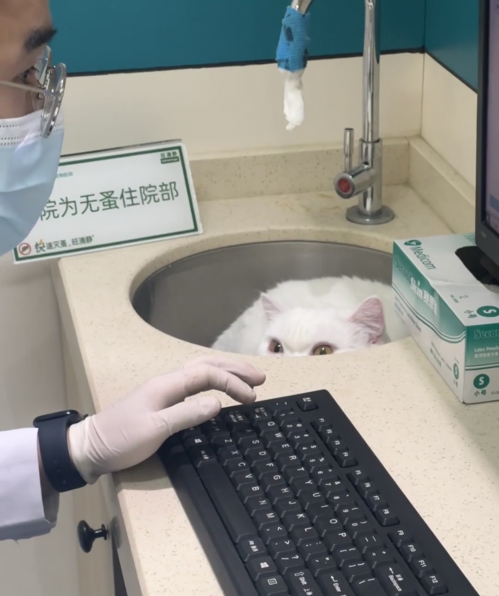 奴才：最終還是要面對的