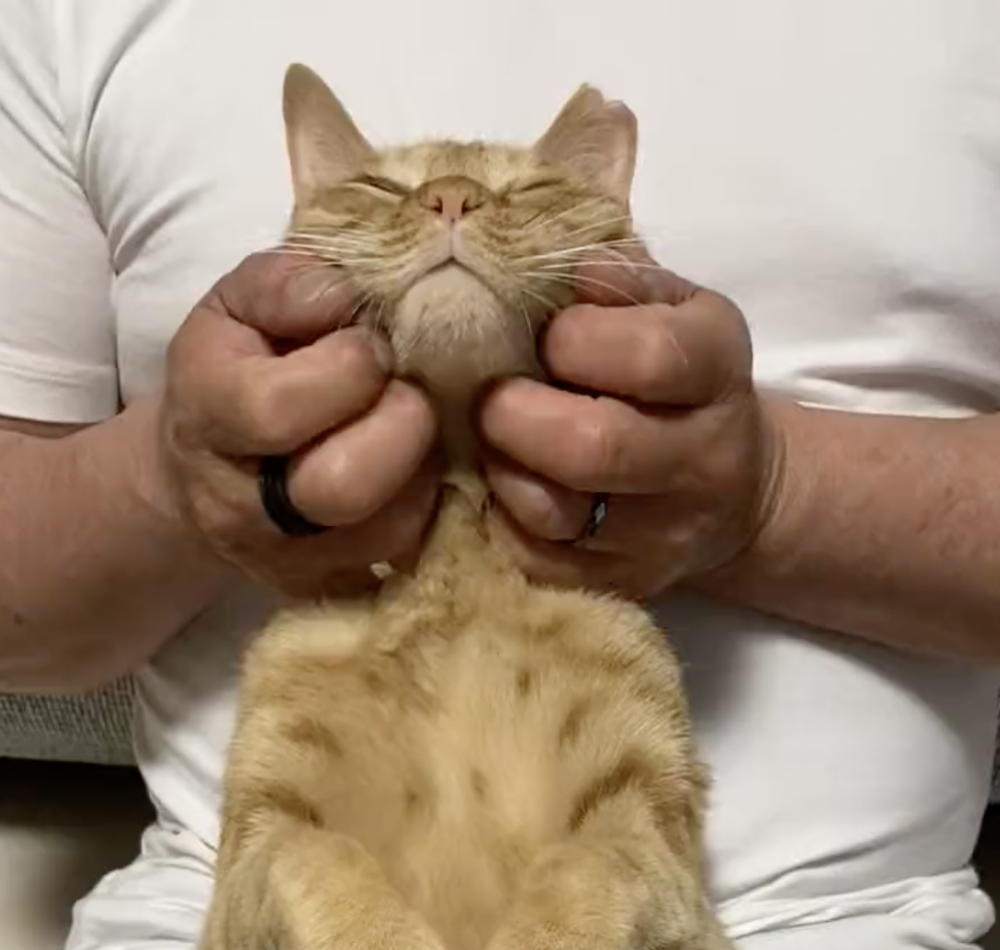 奴才：你好會誇人啊