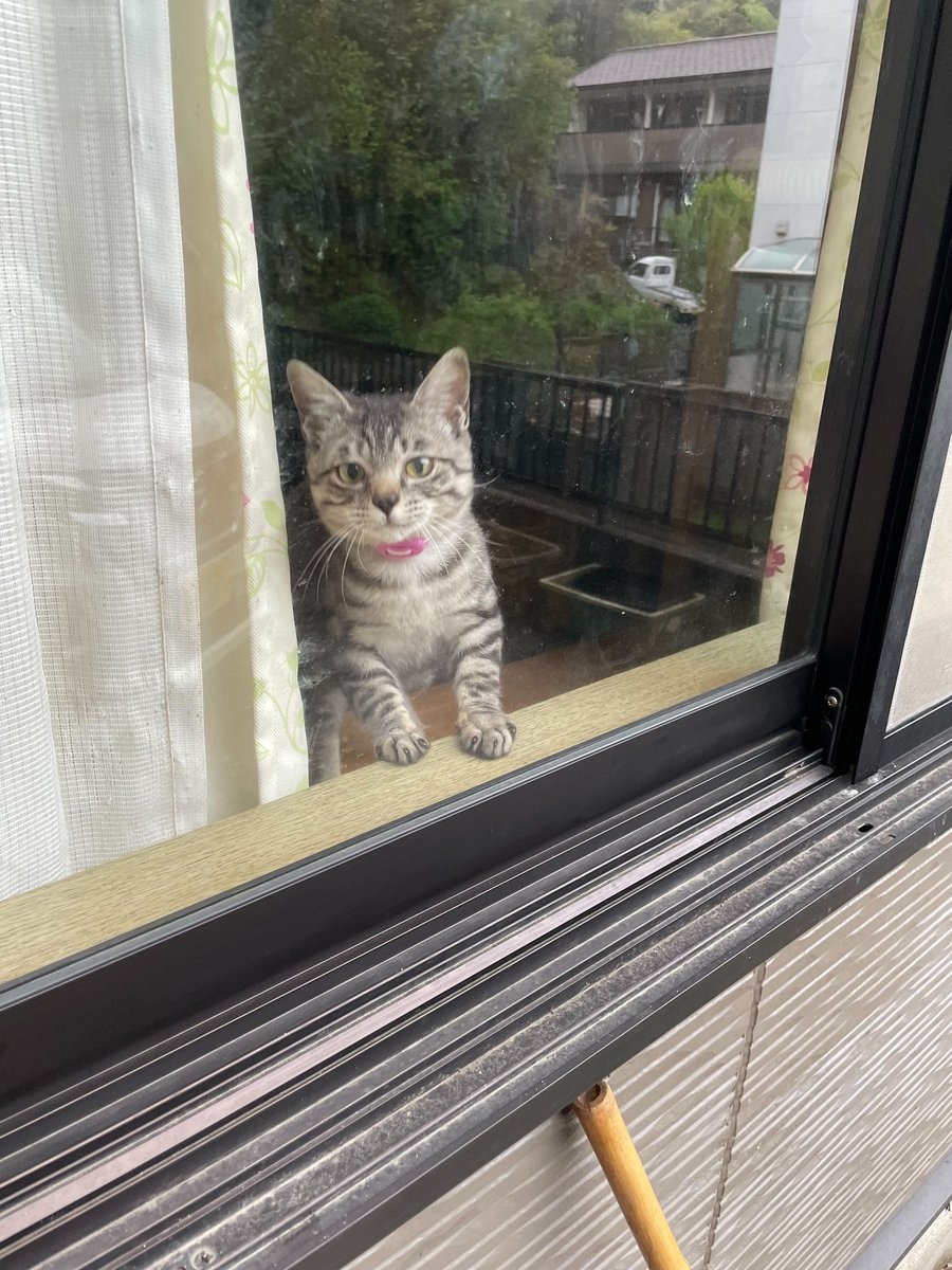 奴才：謝謝你選擇依賴我喔