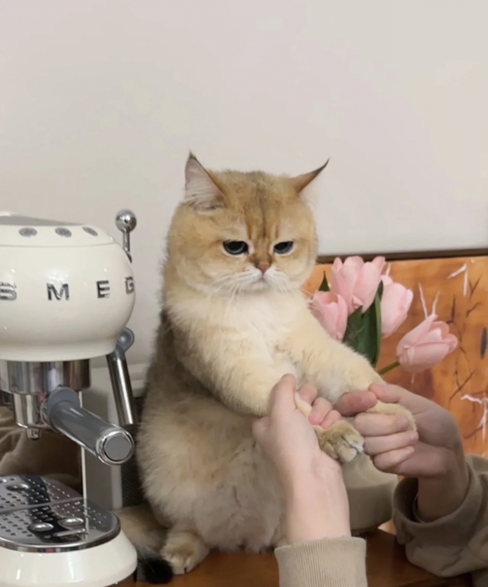 奴才：就再做一杯給我嘛～