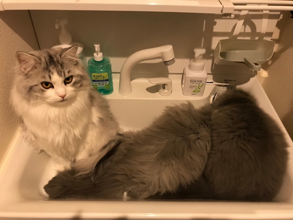 奴才:你們開心就好囉!