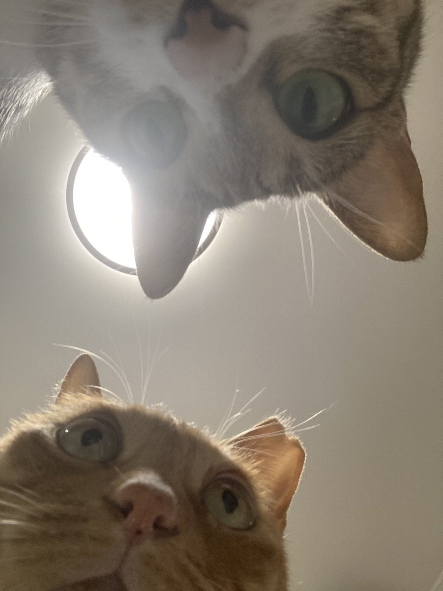 奴才：那就外加10分鐘給你好了～ 