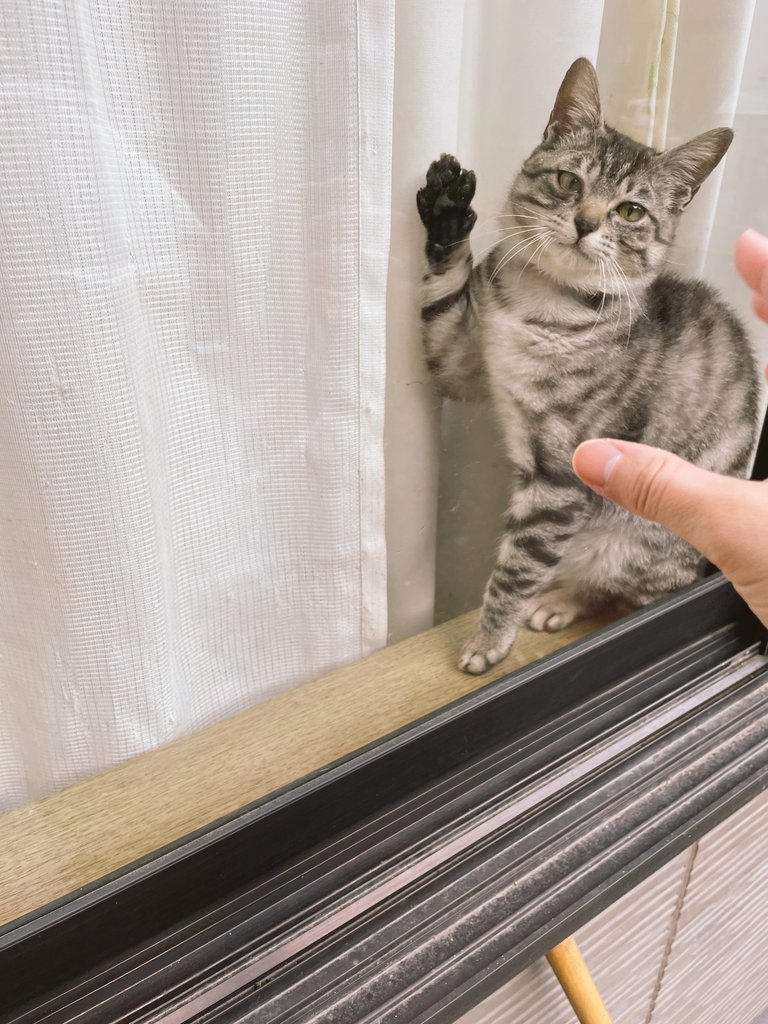 奴才：一到家就見到你的感覺真好