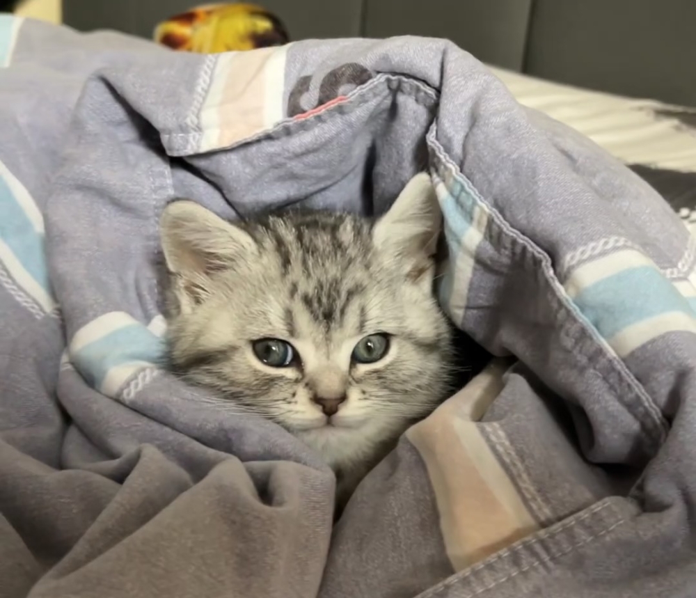 奴才：我只是想讓你可以站穩而已啊 