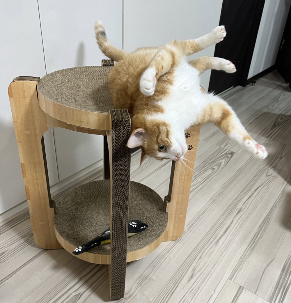 奴才:額...這怎麼能不擔心喔