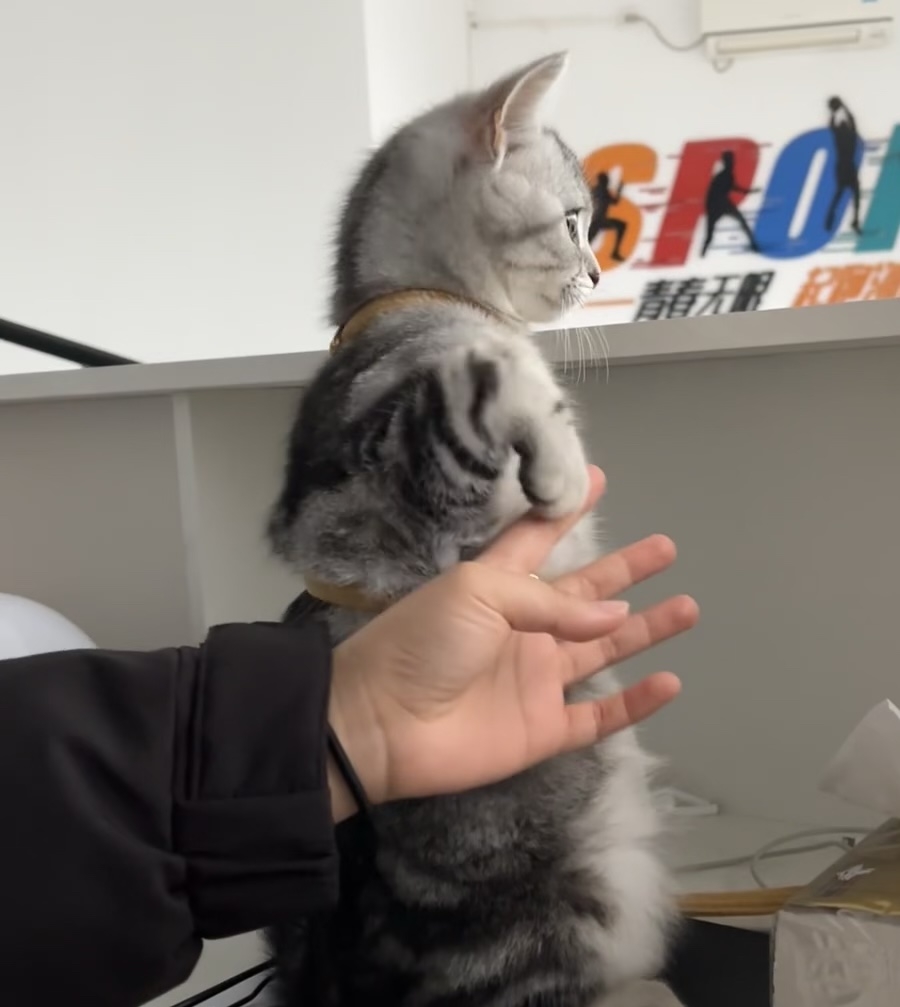 奴才：我伺候你還嫌棄喔 