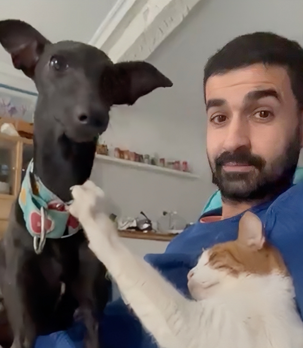 奴才：哎呦～冤家碰頭啊