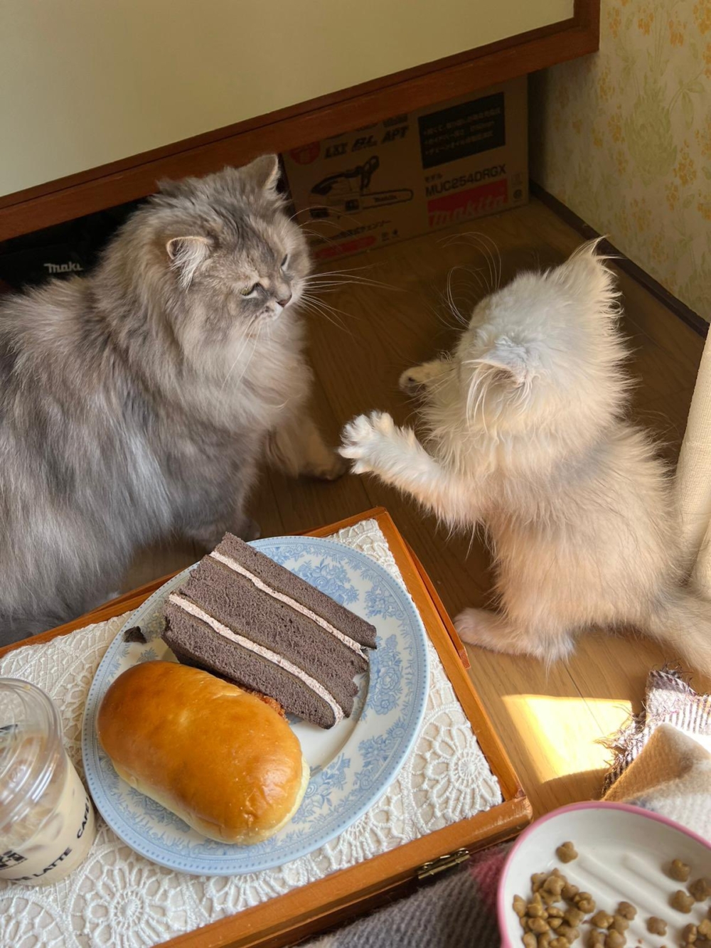 奴才：你這是在挑釁人家嗎？