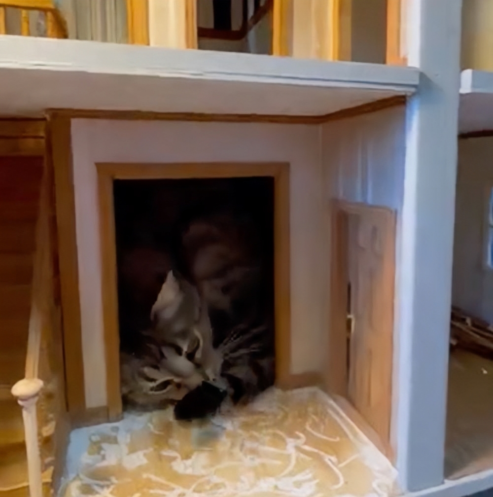 奴才:你也太看得起自己了吧