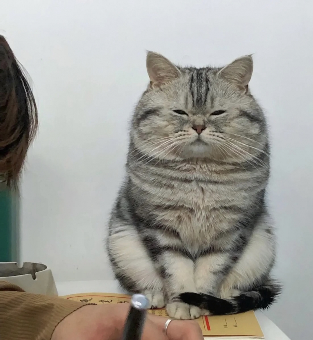 奴才：你再撐一下下啦！