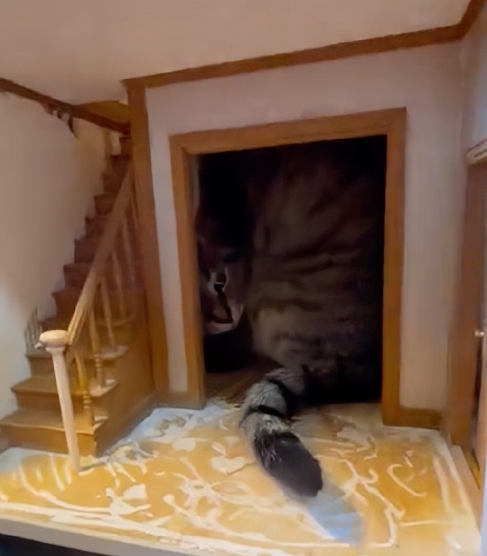 奴才:那你試試看可以進得去沒有囉