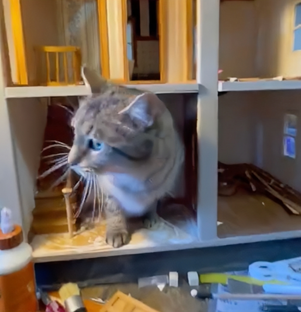 奴才:好吧~確實小看你了