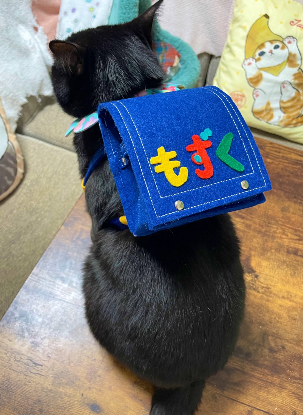 奴才：這個背包還挺適合你的