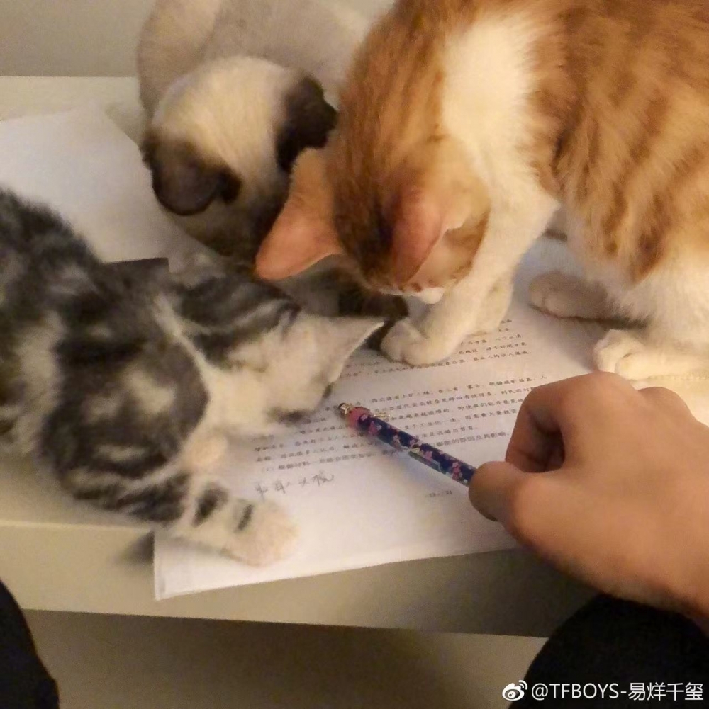 「二十」，「海豹突擊隊隊長」，「石榴」