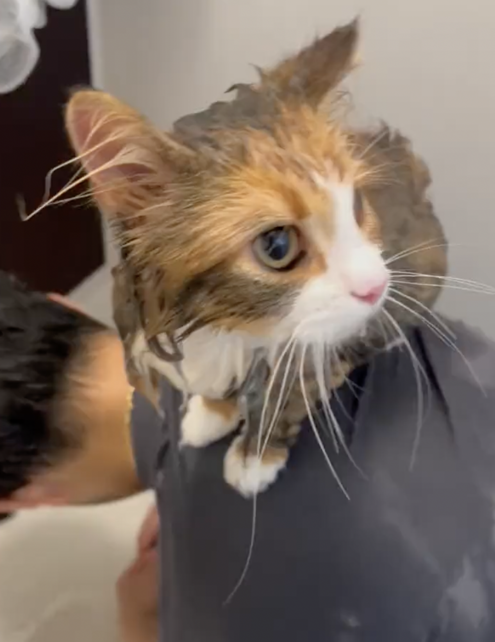 奴才：你好我好囉～ 