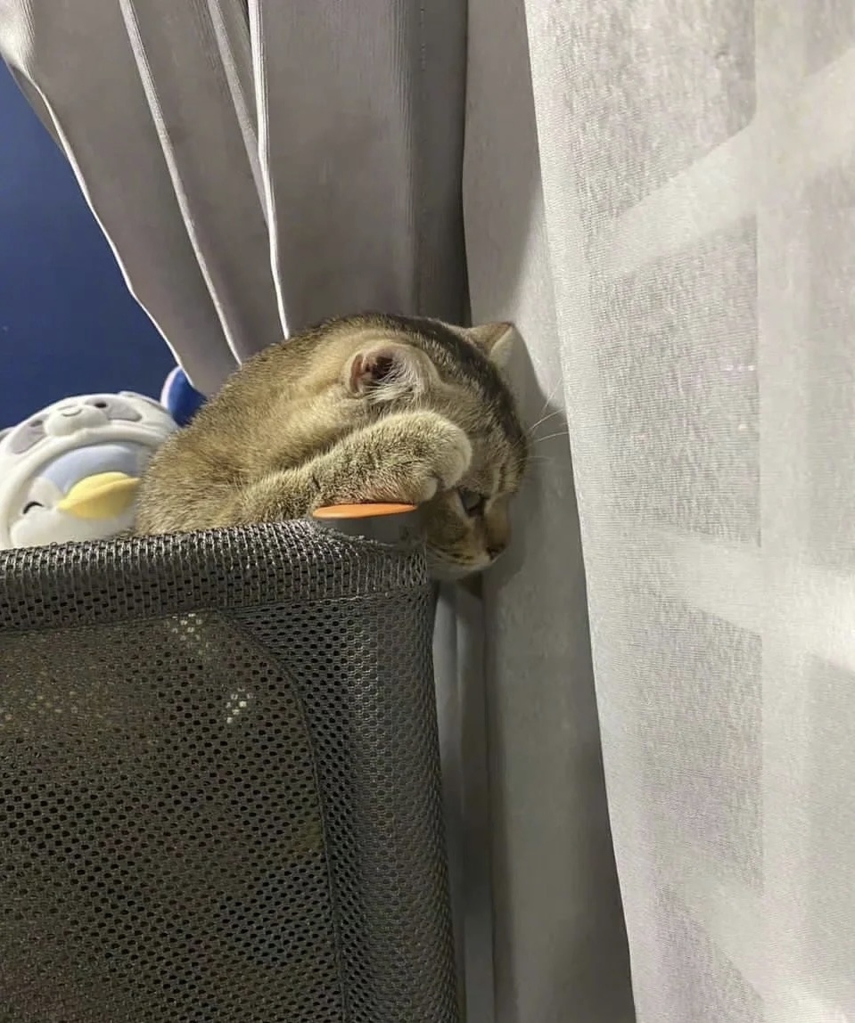 奴才：說了你有聽進去嗎？