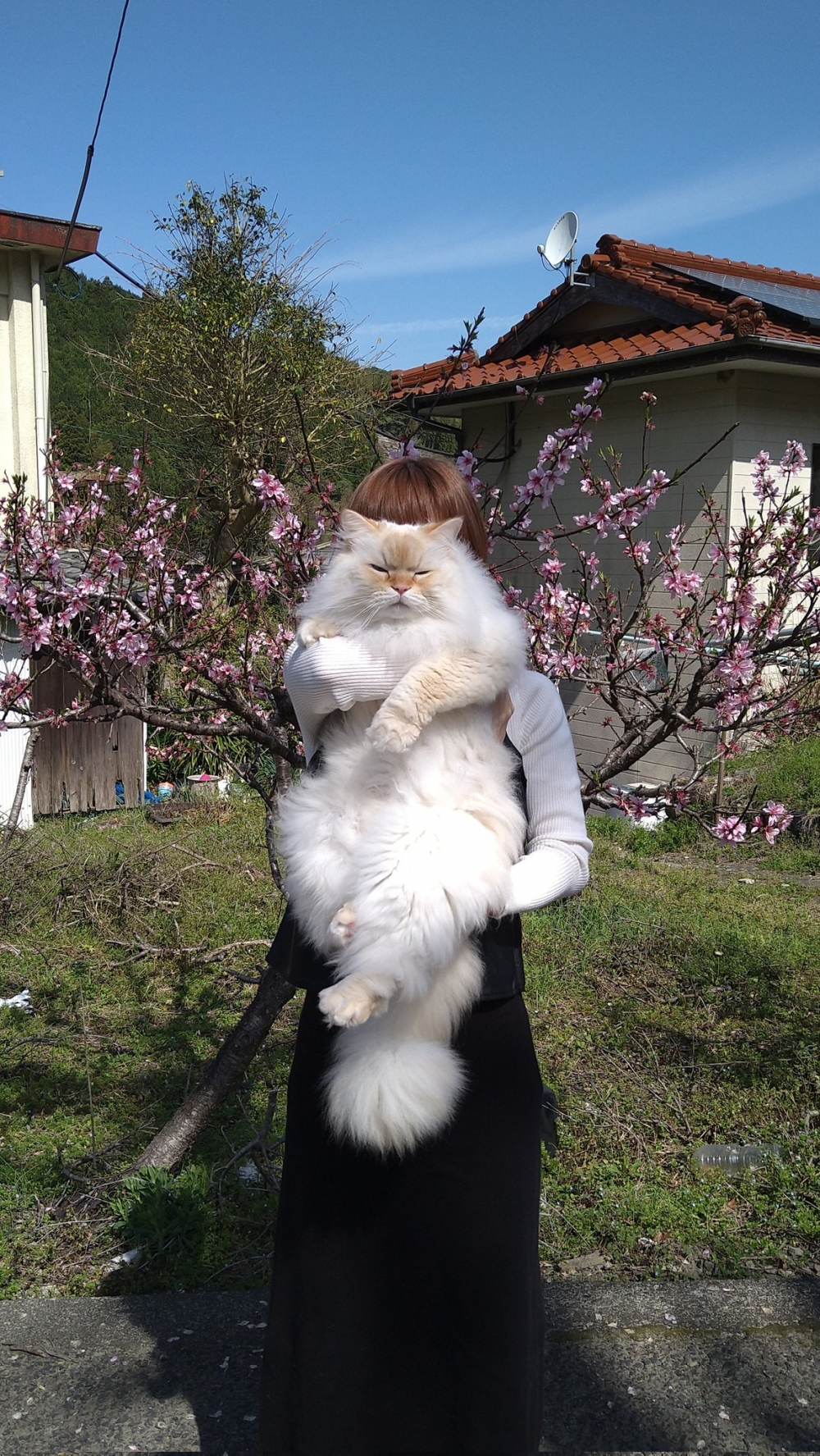 奴才:那是肯定的囉