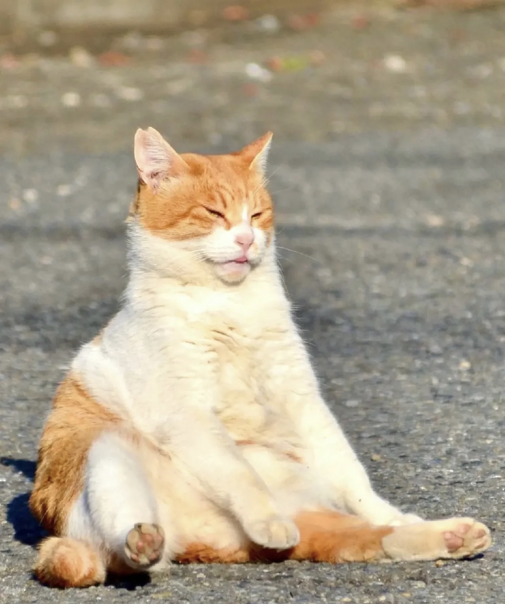 奴才：這是紀錄生活啦