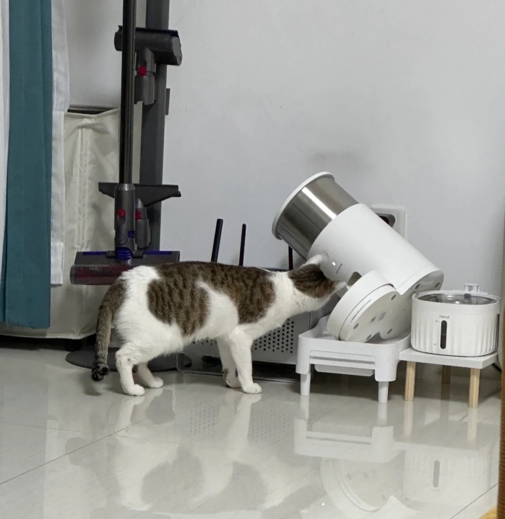 奴才：我在心靈上為你打氣啦