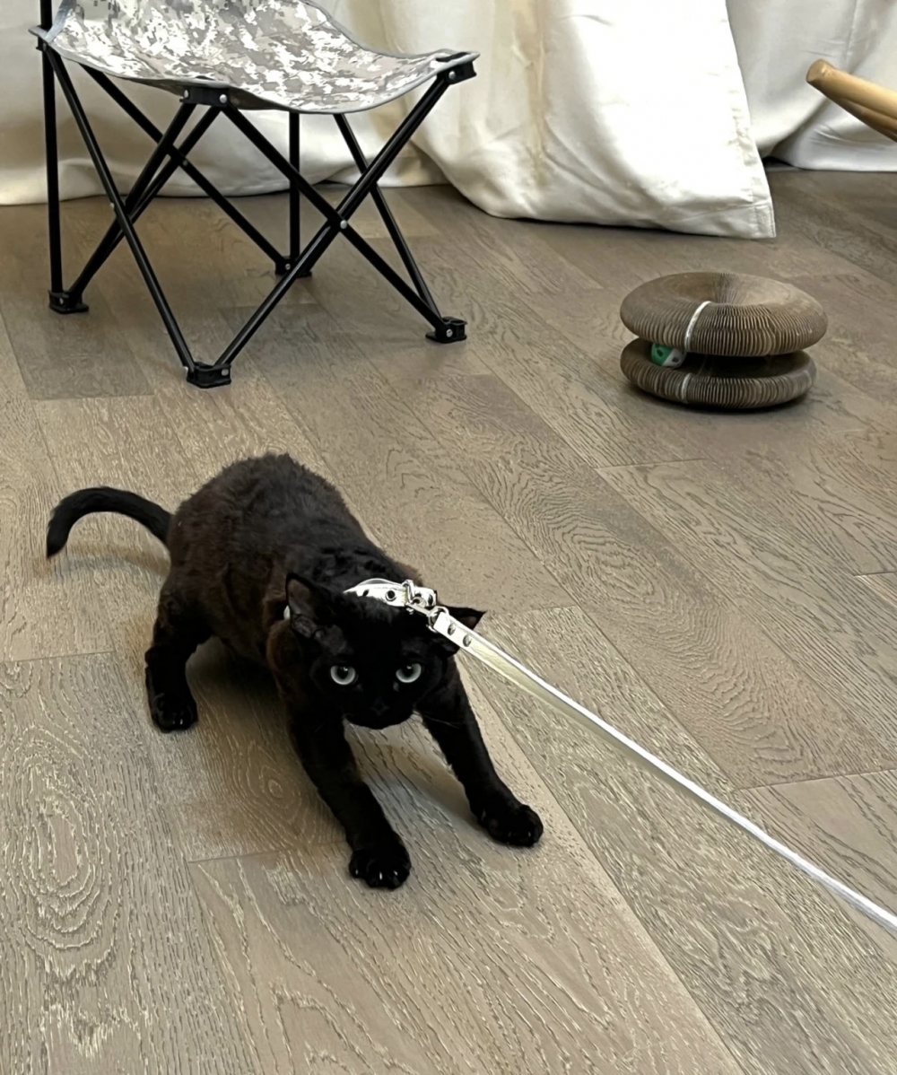 奴才：你沒出過去怎麼知道不好喔