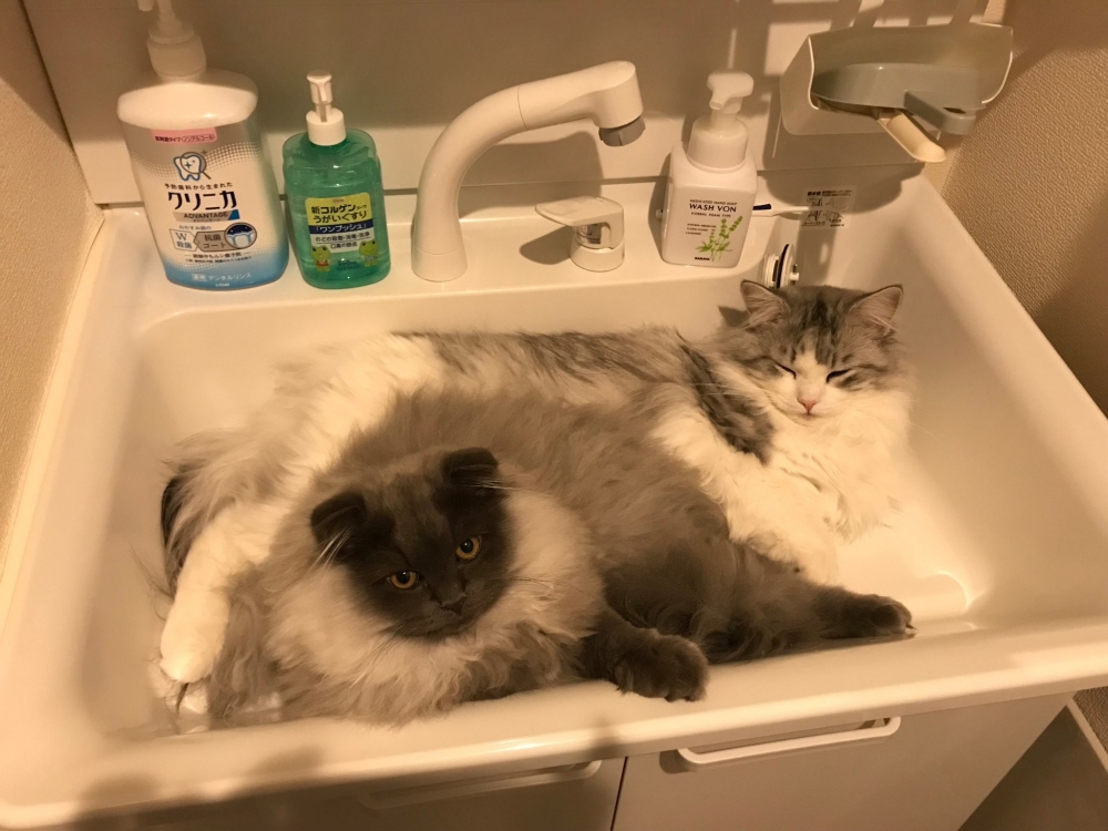 奴才:你們還真會選地方啊