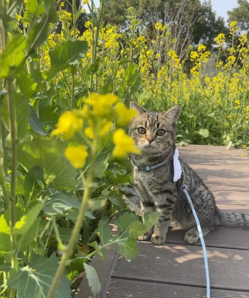 奴才：那就幫你拍張照留念一下