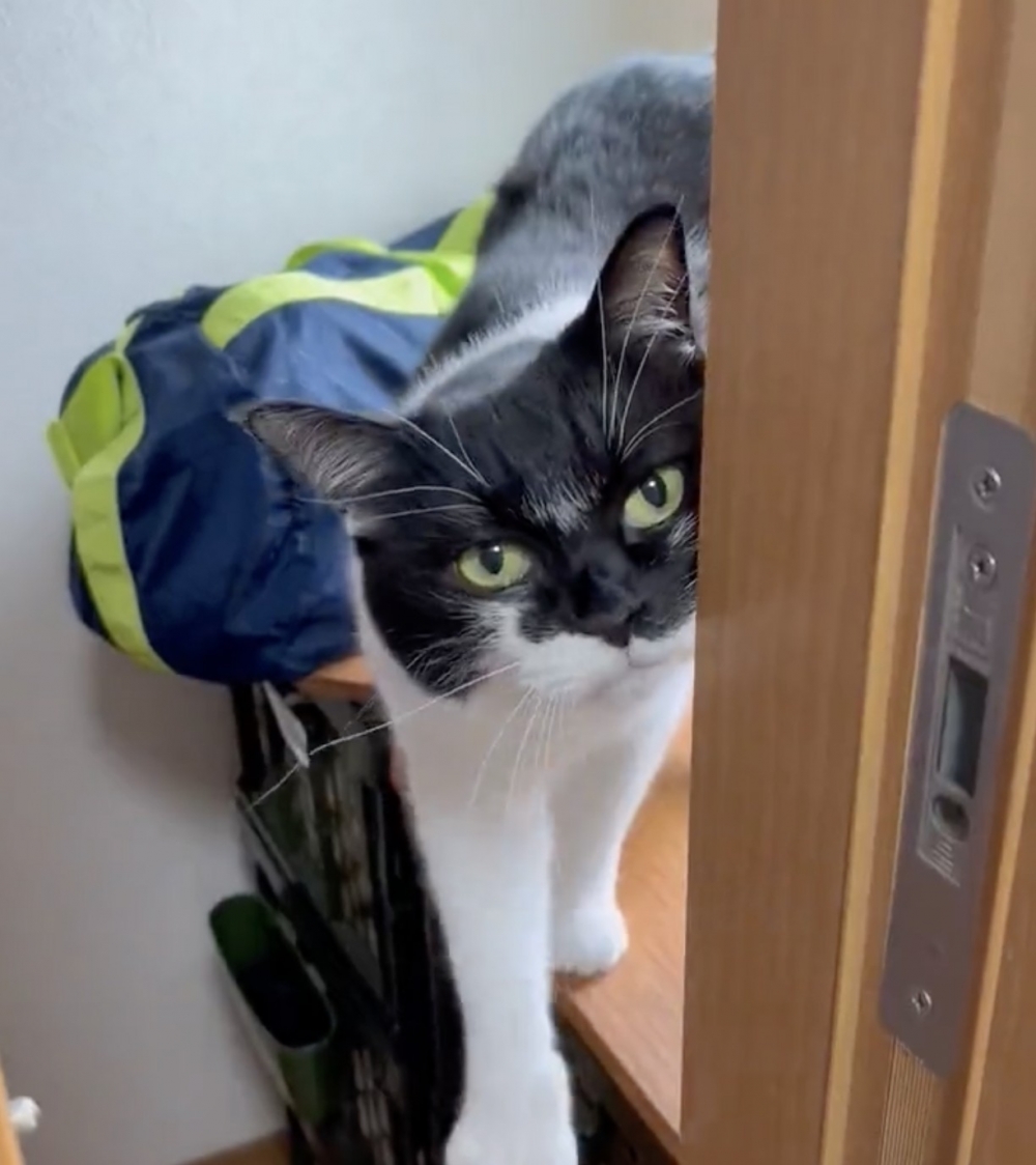 奴才:你好暖心喔