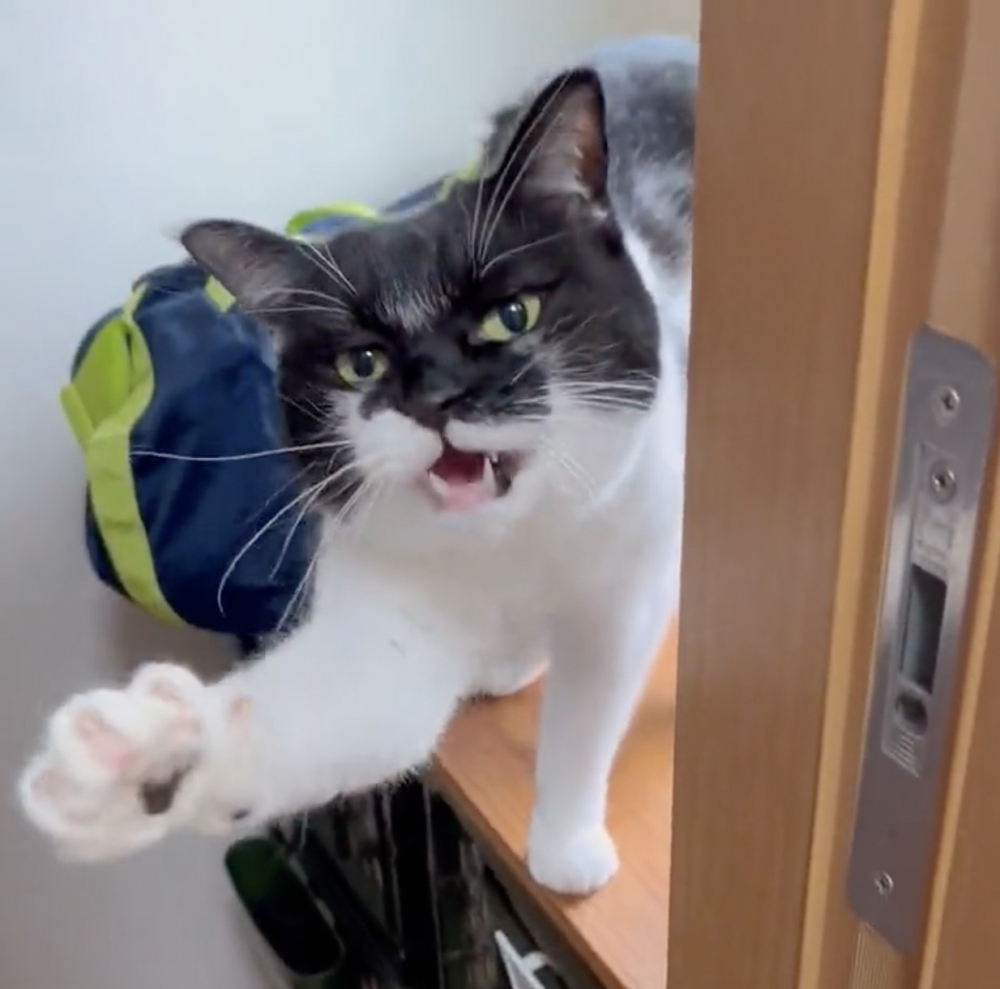 奴才:見到你那刻所有疲憊都消失了