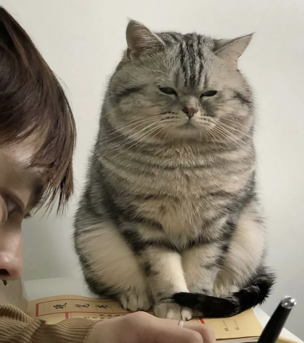 奴才：這樣不行啦！