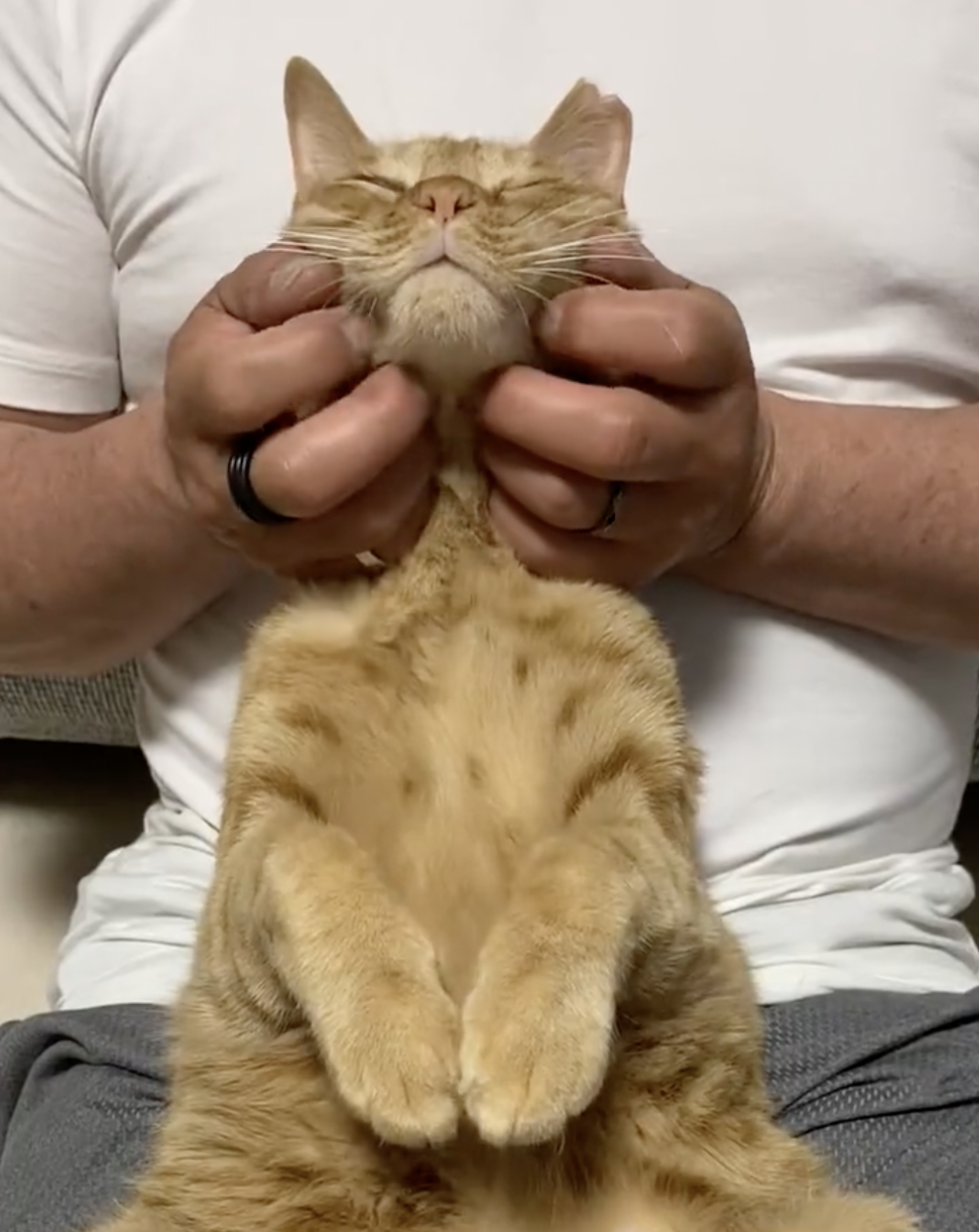 奴才：我的手法不錯吧 