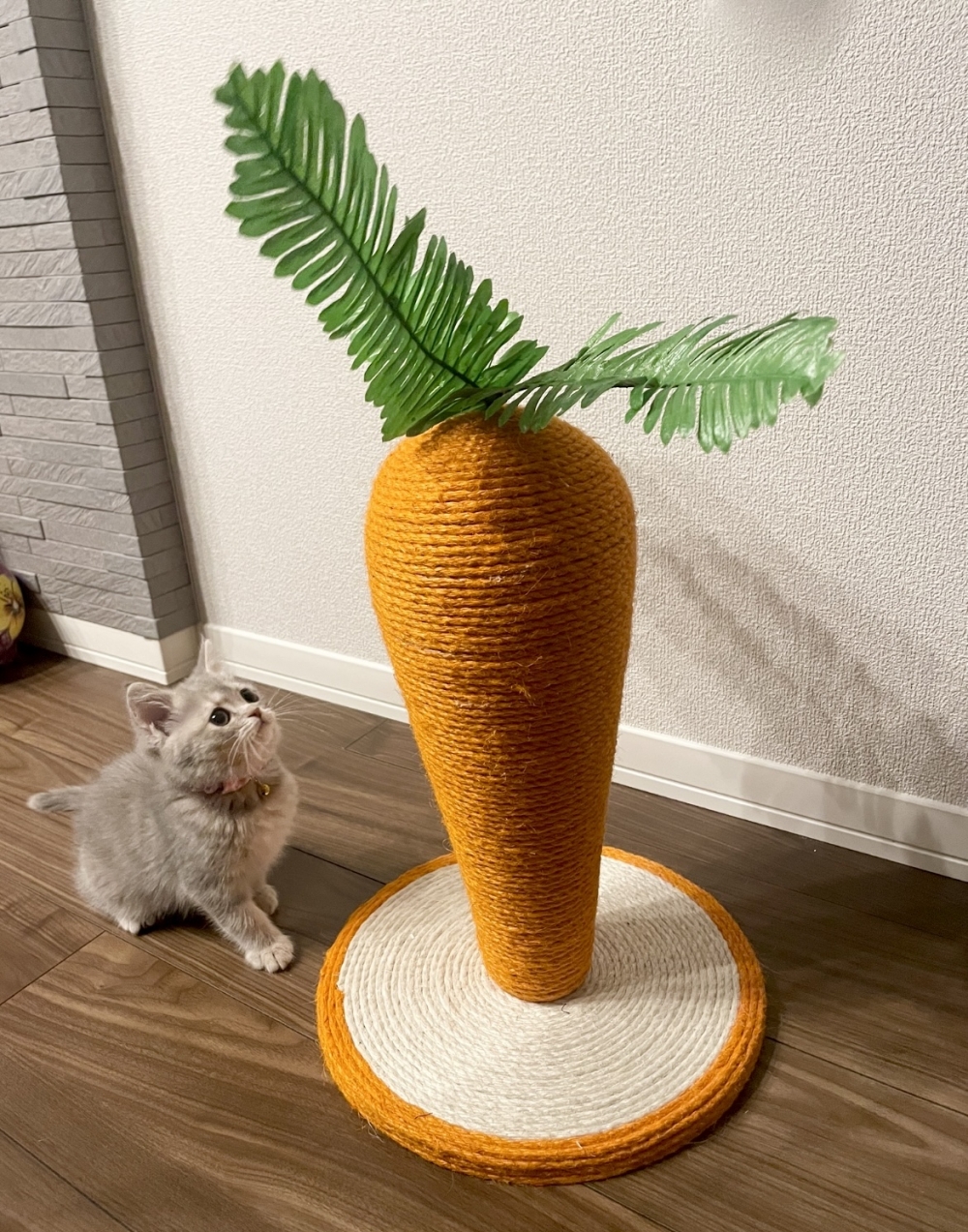 奴才：不會啦～你過去摸一摸就知道了