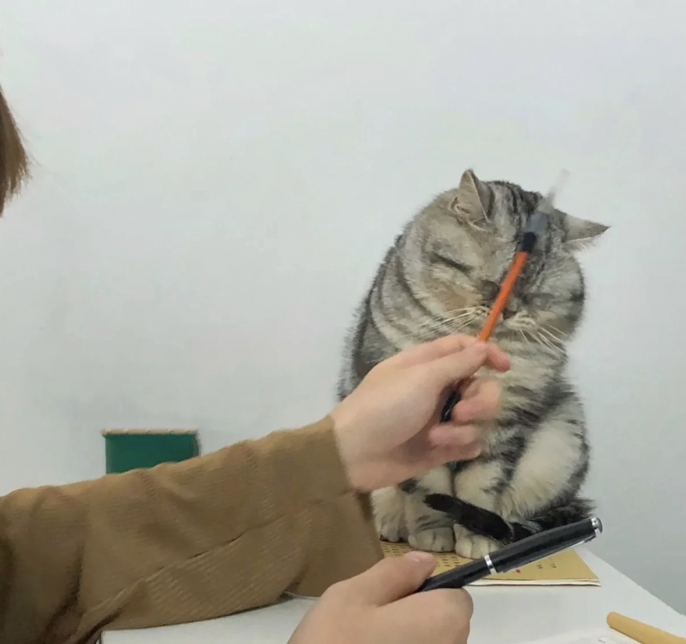 奴才：我們要互相陪伴啊～