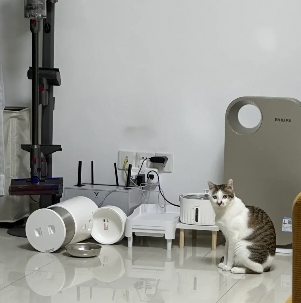 奴才：確實，我都替你尷尬了～