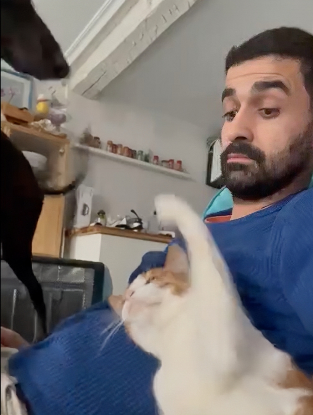 喵：兇？朕還可以更兇喔！