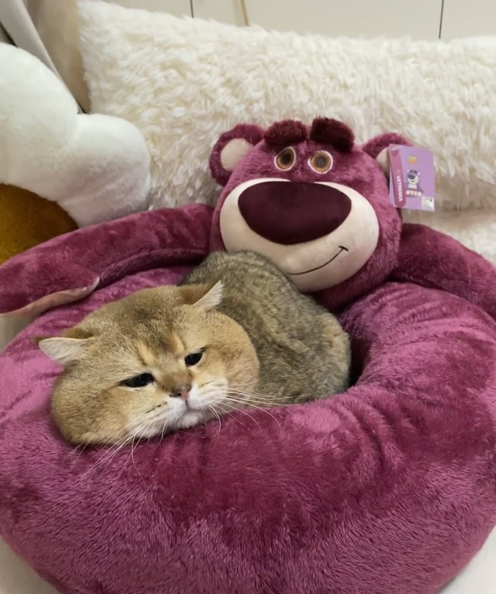 奴才:你好心機喔