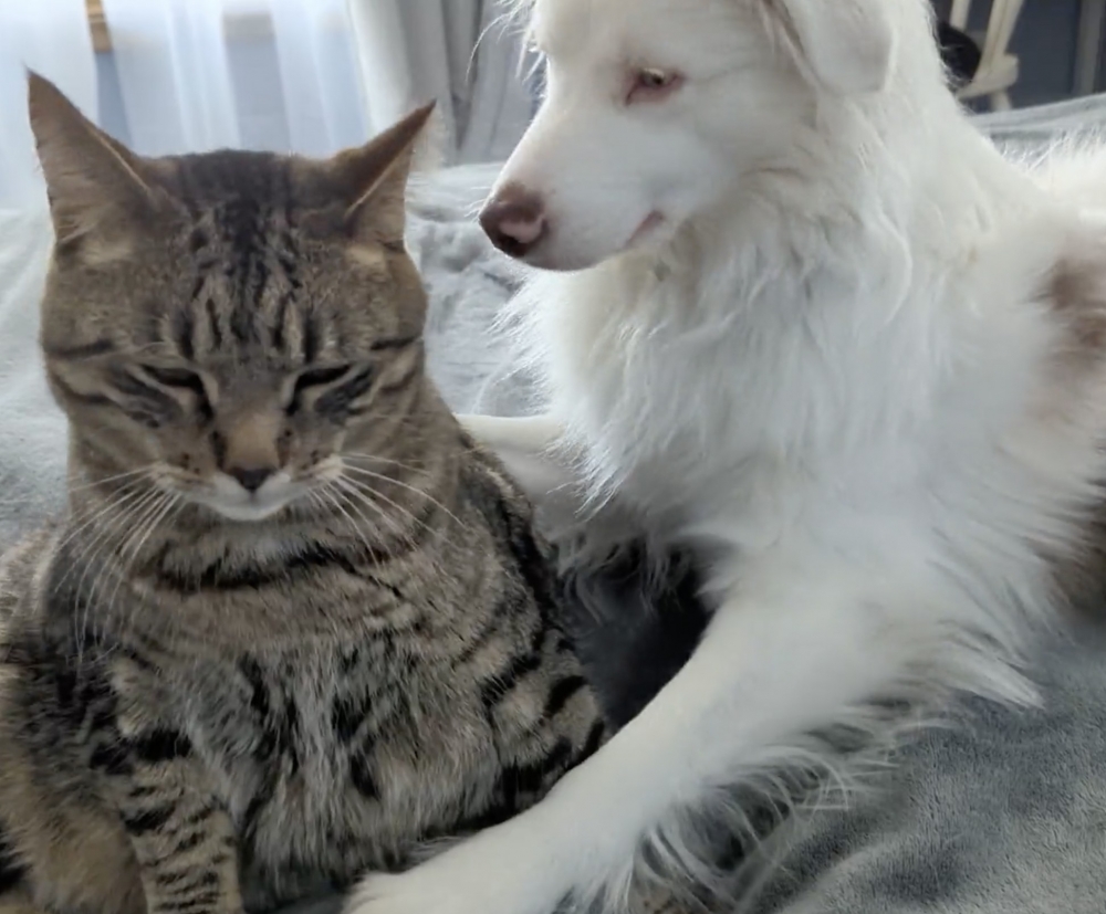 汪：不是啦！你不要誤解我的意思啊