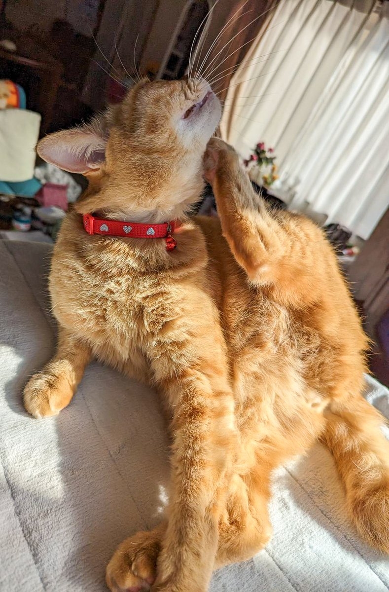 奴才：挺有自知之明喔