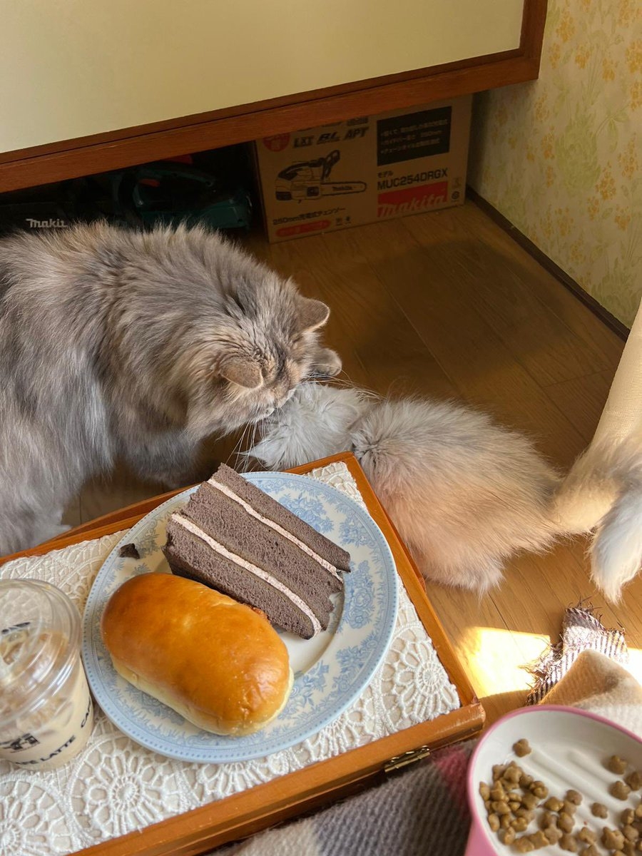 奴才：你還需要累積一些經驗啊