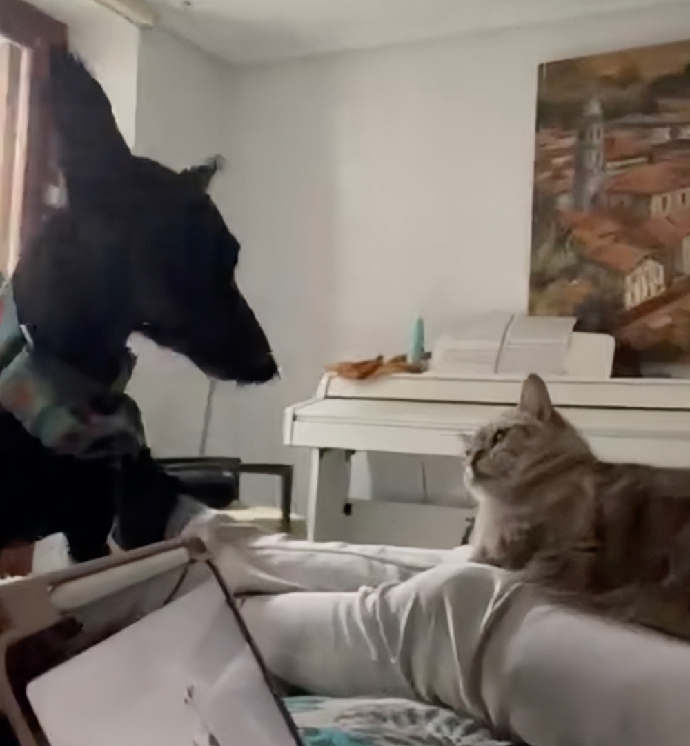 汪：我還沒出手呢！是牠先動手的喔