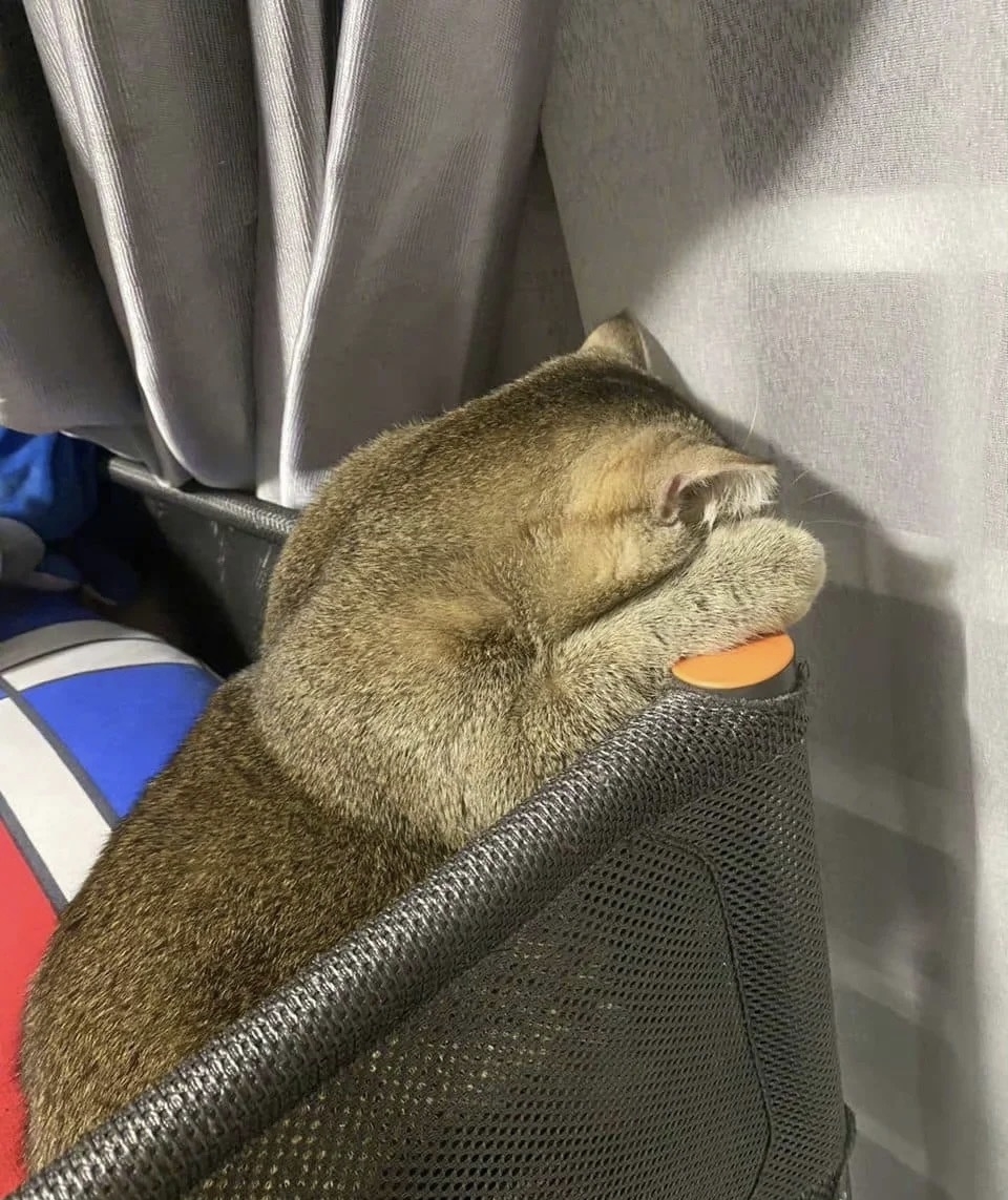 奴才：你自己冷靜一下吧～ 