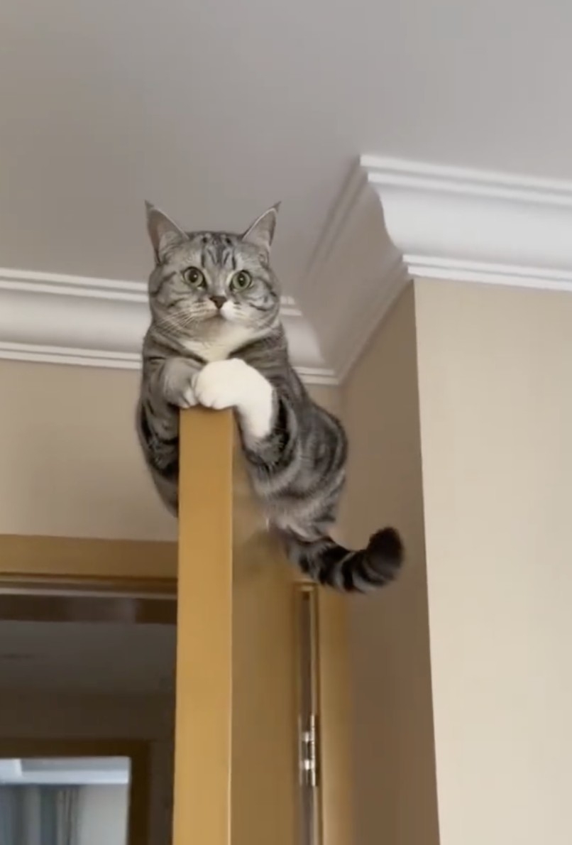 奴才：我只是提醒你一下啦～