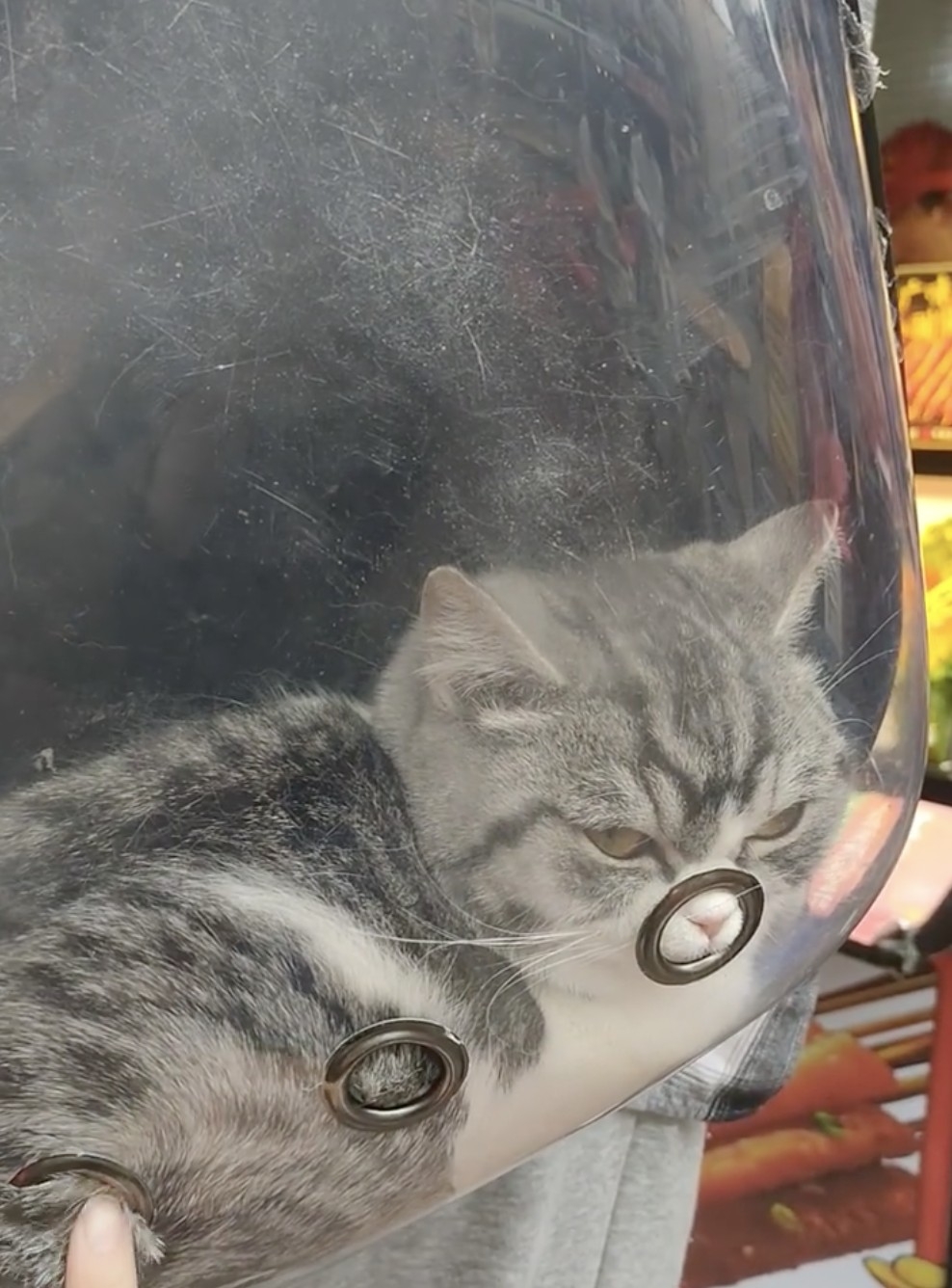 奴才：所以要自己製造亮點嗎？