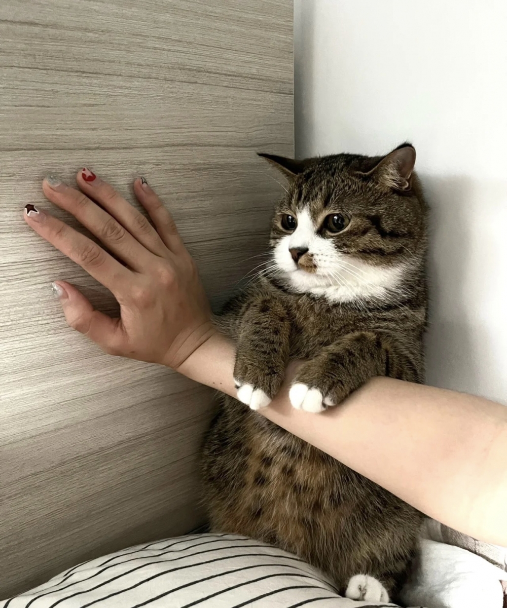 奴才：你誠懇一點喔