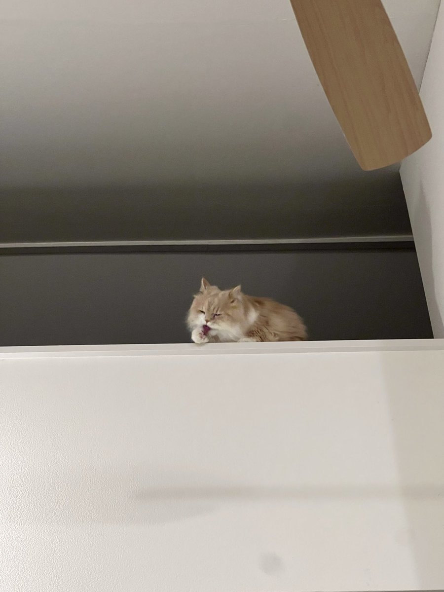 奴才：你也太投入了吧