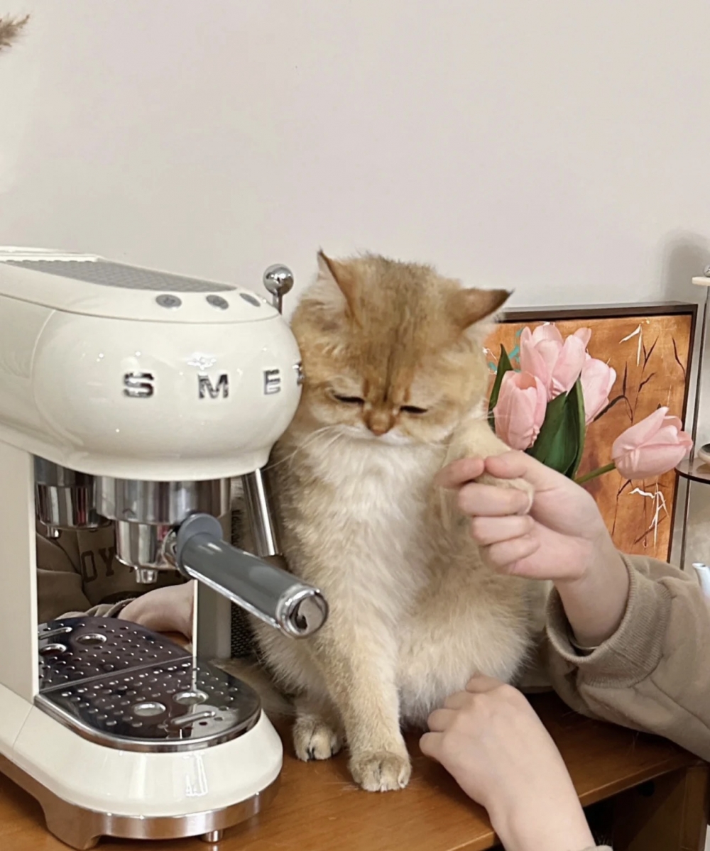 奴才：那你考慮一下啊