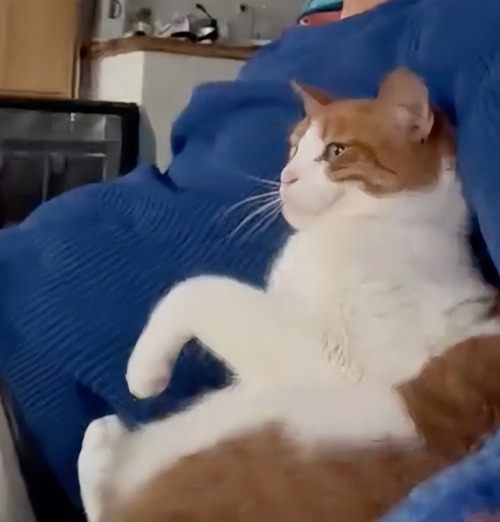 汪：憑什麼只有你能靠在奴才懷裡啊！