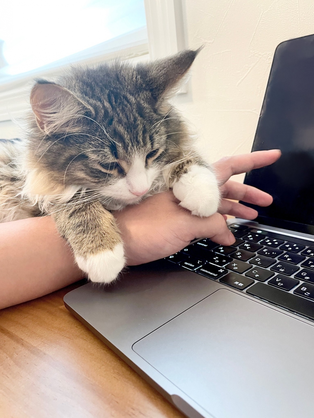 奴才：天啊！受不了了