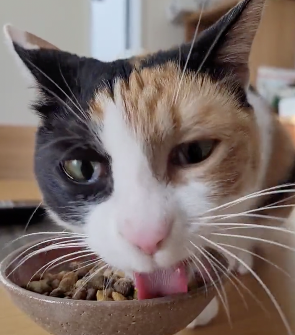 奴才：哇！你好沒有形象啊 