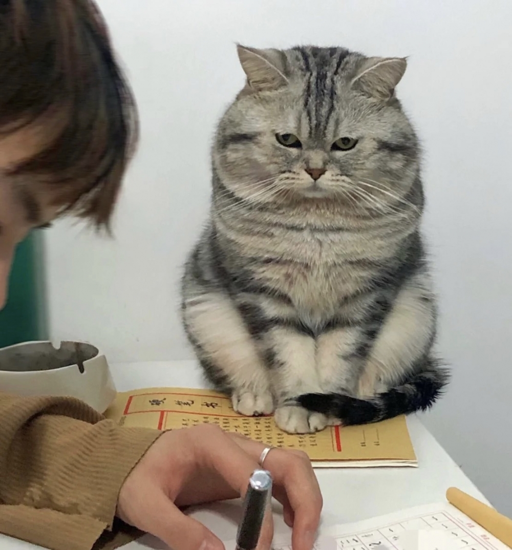 奴才：可是我們的課才剛開始啊～